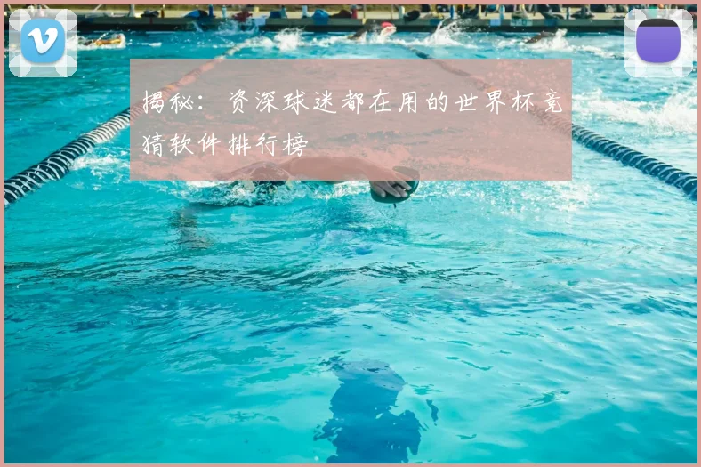 揭秘：资深球迷都在用的世界杯竞猜软件排行榜