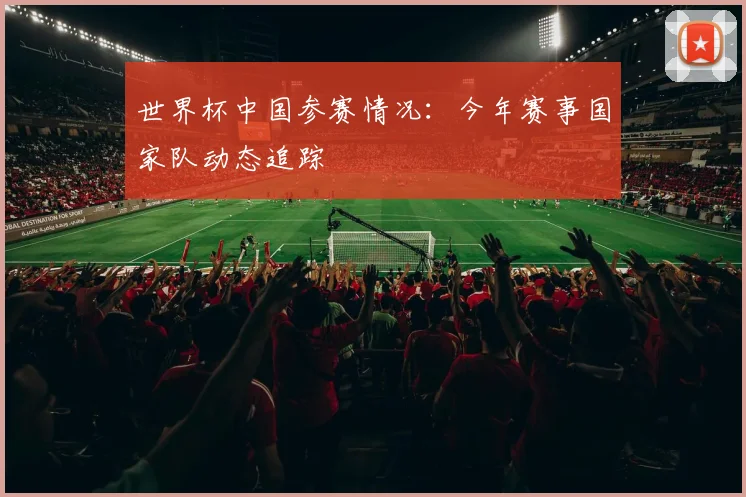 世界杯中国参赛情况：今年赛事国家队动态追踪