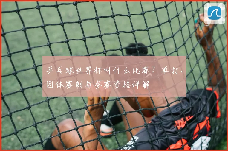 乒乓球世界杯叫什么比赛？单打、团体赛制与参赛资格详解
