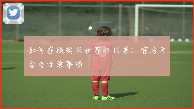 如何在线购买世界杯门票：官方平台与注意事项