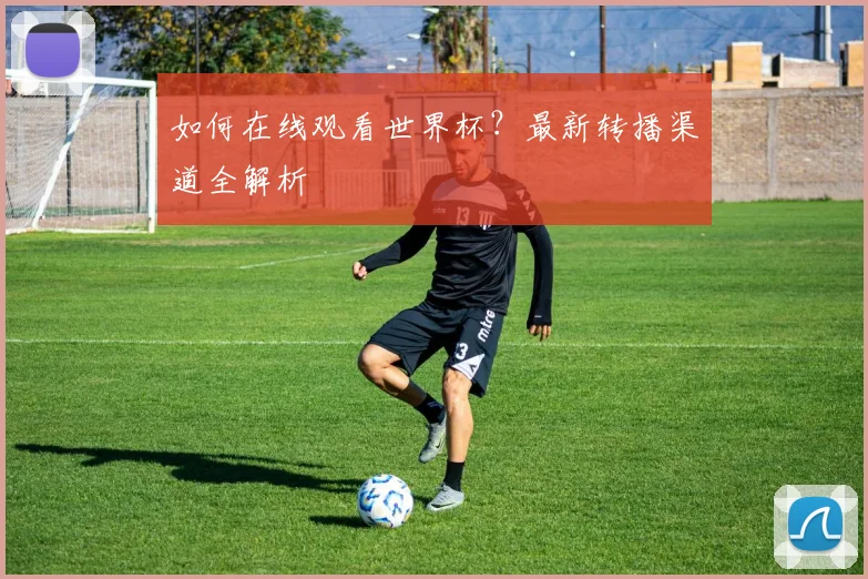 如何在线观看世界杯？最新转播渠道全解析