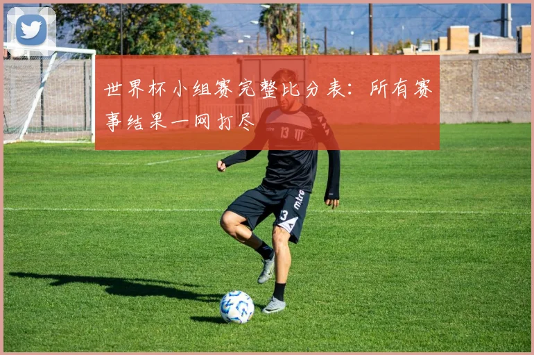 世界杯小组赛完整比分表：所有赛事结果一网打尽