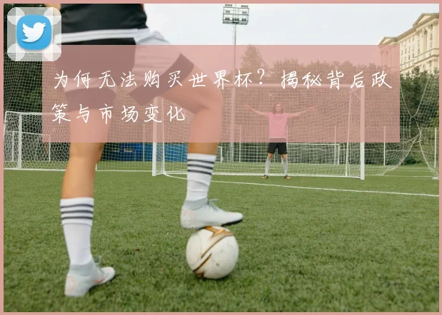 为何无法购买世界杯？揭秘背后政策与市场变化